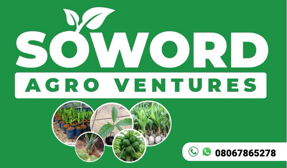 Soword Agro Ventures logo